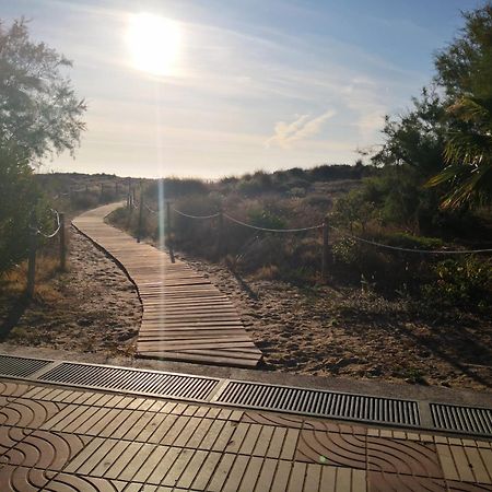 Sea View Apartment, First Line On The Beach, Remote Work 卡耐特蒂贝兰格 外观 照片